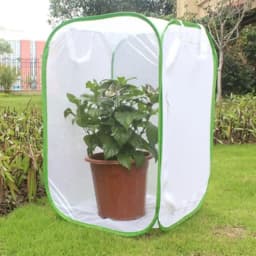 Butterfly Habitat Insect Cage Mesh Butterfly Cages Pop-up Collapsible Insect Mesh Cage Plant Greenhouse Box Plant Net Cloth