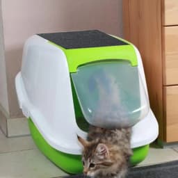 AUGKUN Pet Cat Litter Box Filter Activated Carbon Deodorizing Filters Carbon Pack Deodorant Absorb And Filter Odor Cat Suppplies