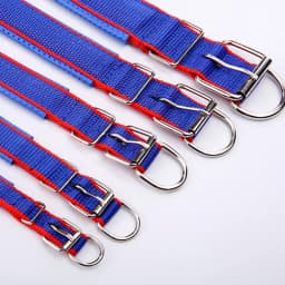 Durable Padded Puppy Big Dog Collars for Small Large Dogs Adjustable Nylon Collar Pet Accessories Greyhound Wheeling Supplies