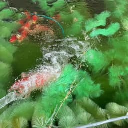 1PC Fish Spawning Koi Pond Breeding Laying Eggs Rope Brush Pet Supplies Tool Fish Pond Filter Hatching Grass Brush New