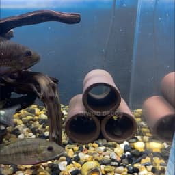 Purple Clay Aquarium Fish Tank Landscape Ornament Decoration Accessories Pet Fish Breeding House Shelter Fairy Garden Home Decor