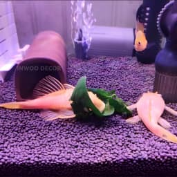 Purple Clay Aquarium Fish Tank Landscape Ornament Decoration Accessories Pet Fish Breeding House Shelter Fairy Garden Home Decor