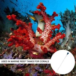 55cm Coral Feeder SPS HPS Feeder Long Acrylic Aquarium Coral Feeder Syringe Tube for Reef/Anemones/Eels/Lionfish Fertilizer