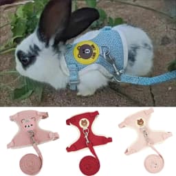 Cartoon Print Cat Rabbit Harness and Leash Set Bunny Rabbits Pet Accessories Bunnies Vest Clothes Lapin Accessoires Pour Animaux