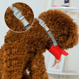 Cute Duck Bill Shape Puppy Dog Muzzle for Small Dogs Anti-bite Anti-barking Pet Face Mask Poodle Schnauzer Masoctas Accessories