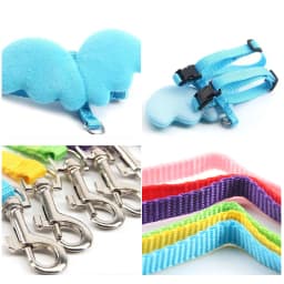 Angel Wings Pet Harness and Leash Set for Cats Puppy Rabbit Cute Cat Harnesses Kitten Accessories Artículos Para Mascotas Lead