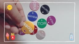 2pcs Free Laser Engraving Pet Dog ID Tag Cat Puppy Name Pendant Tags Personalized Custom Pets Tag Collar Anti-lost Nameplate