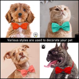 Bulk Solid Small Dog Bowtie Pet Dog Bow Ties Collar For Dogs Cats Summer Pet Dog Bows Small Dog Cat Grooming Accessories