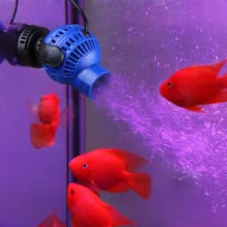 220V 6-26W Aquarium Wave Maker Submersible Circulation Power Pump with Magnet Suction Base Adjustable Flow Rate Marine Fish Tank