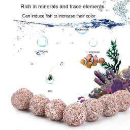 100g 250g 500g Aquarium Fish Tank Filter Media Hollow Particles Biological Ball Bio filter for Aquarium Accessories