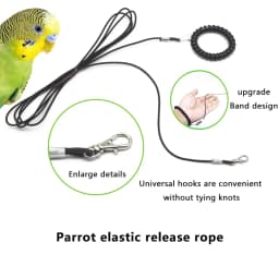 1 PC Multiple Length Options Parrot Release Rope Bird Foot Chain Portable Not Hurt Feet Bird Training Rope Bird Outdoor Rope