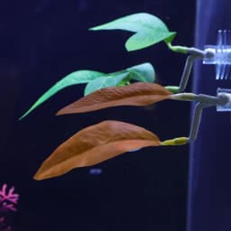 New Double Layer Fish Tank Aquarium Artificial Leaf Betta Fish Rest Spawning Ornamental Plant Betta Fish Play Relax Hide Leaf