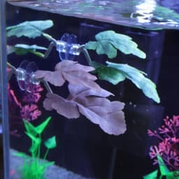 New Double Layer Fish Tank Aquarium Artificial Leaf Betta Fish Rest Spawning Ornamental Plant Betta Fish Play Relax Hide Leaf