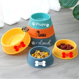 Custom Plastic Dog Bowls with Pet Name, Non-Slip, Christmas, Birthday Gifts for Pet,Personalized Pet Bowl, Feeder for Dog or Cat