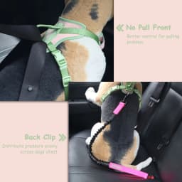 Splicing Colors for Medium Dog Harness No Pull for Large Small Dogs Adjustable Chest Strap Dog Harness Bundle Personalized