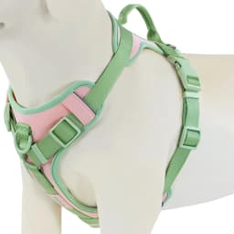 Splicing Colors for Medium Dog Harness No Pull for Large Small Dogs Adjustable Chest Strap Dog Harness Bundle Personalized