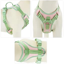 Splicing Colors for Medium Dog Harness No Pull for Large Small Dogs Adjustable Chest Strap Dog Harness Bundle Personalized