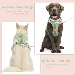 Splicing Colors for Medium Dog Harness No Pull for Large Small Dogs Adjustable Chest Strap Dog Harness Bundle Personalized
