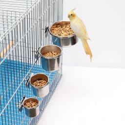 1PC Parrot Feeding Bowl With Clamp Holder Stainless Steel Pet Birds Food Dish Parrots Cage Accessories Drinking Feeder