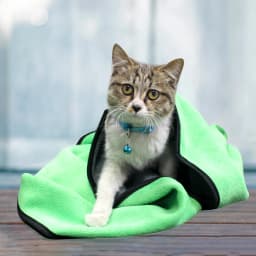 Quick-Drying Pet Towel Absorbent Pet Bath Towel for Dogs Cats Soft Lint-Free Fiber Dog Towels Pet Cat Blanket Pet Supplies