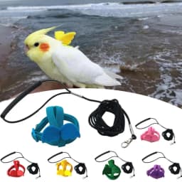 Long Cable Bird Harness Leash Anti-Bite Training Rope Decorative Lightweight Parakeet Parrot Vest Rope For Cockatiel Small Birds