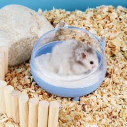 Hamster Sand Bath Box Cage Toilet Transparent Hamster Bathroom Small Animal Bath House for Mice Rabbit Pets Small Pet Accessory