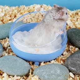 Hamster Sand Bath Box Cage Toilet Transparent Hamster Bathroom Small Animal Bath House for Mice Rabbit Pets Small Pet Accessory