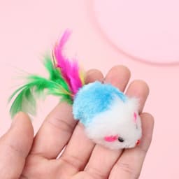 10Pcs Cat Mouse Toys Cat Toy Mice Rattle Set Interactive Cat Toy for Indoor Cats Kittens Assorted Color Toys with Feather Tail