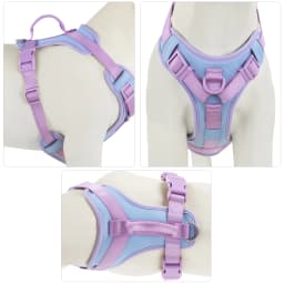 Splicing Colors for Medium Luxury Dog Harness No Pull for Large Small Dogs Adjustable Chest Strap Dog Harness Personalized