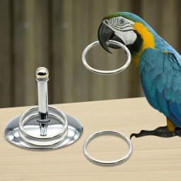 Bird Parrots Interactive Training Toys Intelligence Development Stacking Metal Ring Training Sets Birds Supplies Pet Accessories