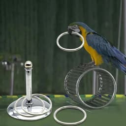 Bird Parrots Interactive Training Toys Intelligence Development Stacking Metal Ring Training Sets Birds Supplies Pet Accessories