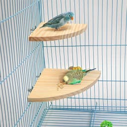 Fan-shaped Parrot Wooden Stand Rack Bird Cage Accessories Perch for Small Animal Chinchilla Squirrel Hamster Bird Stand Board