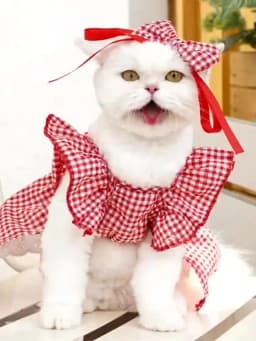 Summer Pet Dress Floral Pattern Plaid Skirts Cat Princess Dresses Chihuahua Yorkie Sweet Skirts Puppy Dog Costume Pet Supplies