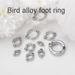 Parrot Leg Ring Stainless Steel Pet Bird Leg Ring Outdoor Flight Training Activity Anti Loss Open Leg Ring Foot Ring Chain
