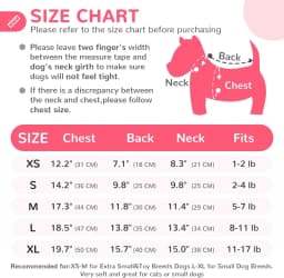 Autumn Winter Dog Clothes for Small Dogs Girls, Fleece Lined Dog Hoodies Sweater Puppy Sweatshirt Chihuahua Yorkie Apparel