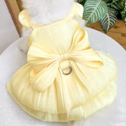 Solid Color Cat Dog Dresses with D-ring for Small Dogs Chihuahua Pomeranian Puppy Summer Pet Clothes  vestidos para perritas