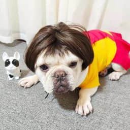 Dogs Cats Hair Hat Funny Pet Wigs Cosplay Props Costumes Head Accessories for Halloowen Christmas Gift