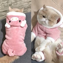Pet Dog Clothes Soft Warm Fleece Dogs Jumpsuits Pet Clothing for Small Dogs Puppy Cats Clothes Chihuahua Yorkshire Costume Coat