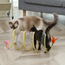 Folded Cat Tunnel S Type Cats Tunnel Spring Toy Mouse Tunnel with Balls and Crinkle Cat Outdoor Cat Toys for Kitten Cat Pets Toy