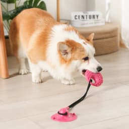 Dog Toys Silicon Suction Cup Tug Interactive Dog Ball Toy for Pet Chew Bite Tooth Cleaning Toothbrush Slow Food Pet Supplies