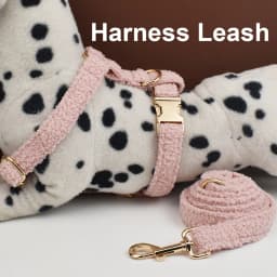 Teddy Velvet Dog Collar And Leash Set For Small Medium Large Dogs Custom Engraved Nameplate Pet Supplies Dog Leash