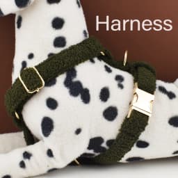 Teddy Velvet Dog Collar And Leash Set For Small Medium Large Dogs Custom Engraved Nameplate Pet Supplies Dog Leash