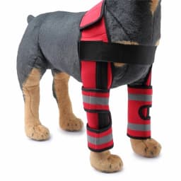 2023 Front Dog Elbow Protector Dog Knee Guard Dog Leg Brace Sleeve Dog Knee Cover Anti Licking Wound Dog Recovery Leg Cover