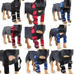 2023 Front Dog Elbow Protector Dog Knee Guard Dog Leg Brace Sleeve Dog Knee Cover Anti Licking Wound Dog Recovery Leg Cover