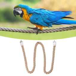 Bird Perch Stand Birds Supplies Bungee Bird Toy Parrot Climbing Rope for Lovebirds Conures Parakeet Finches Primary Color
