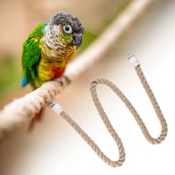 Bird Perch Stand Birds Supplies Bungee Bird Toy Parrot Climbing Rope for Lovebirds Conures Parakeet Finches Primary Color