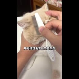 1/2pc Pet Hair Shedding Comb Stainless Steel Flea Comb for Cat Dog Pet Comfort Flea Hair Grooming Comb Dog Brush Grooming Tools