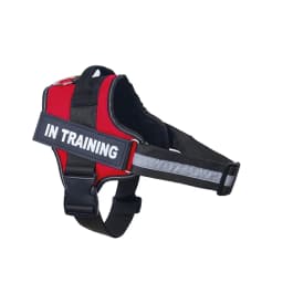 Dropshipping Dog Harness ID Custom patch Reflective Breathable No Pull Pet Harness Vest Training Dog Accessories