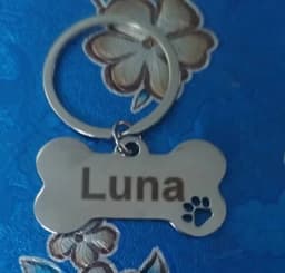 Personalized Dog Cat ID Tag Anti-lost Stainless Steel Pet Necklace Free Engraving Bone Shape Pendant Keyring Pet Accessories
