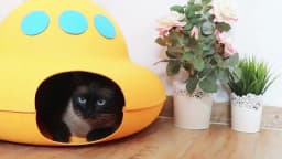 INKZOO Cat Toys, Interactive Cat Toys for Indoor Cats, Smart Interactive Kitten Toy, Automatic 7 Holes Mice Whack-A-Mole